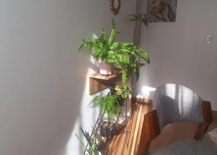 Departamento Calido Y Confortable